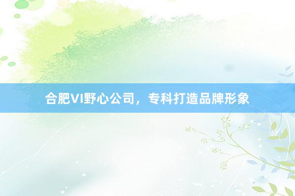 合肥VI野心公司，专科打造品牌形象