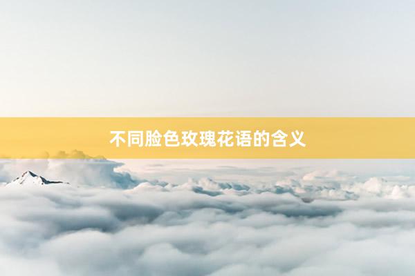 不同脸色玫瑰花语的含义