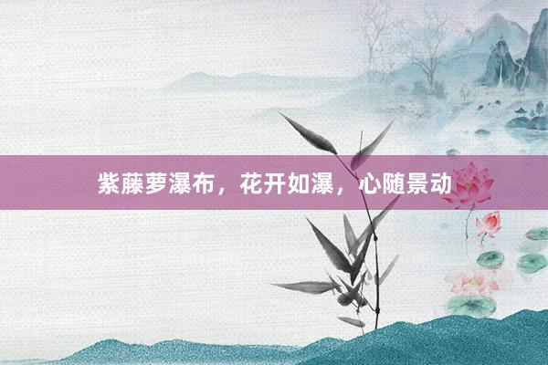 紫藤萝瀑布，花开如瀑，心随景动