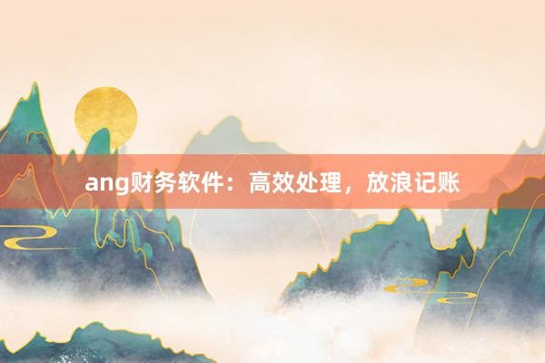 ang财务软件：高效处理，放浪记账