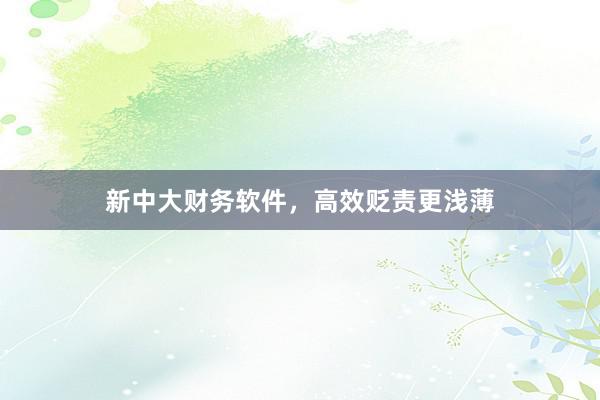 新中大财务软件，高效贬责更浅薄